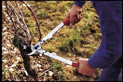 FELCO 20 Two-Hand,Pruning Shear - Lopper