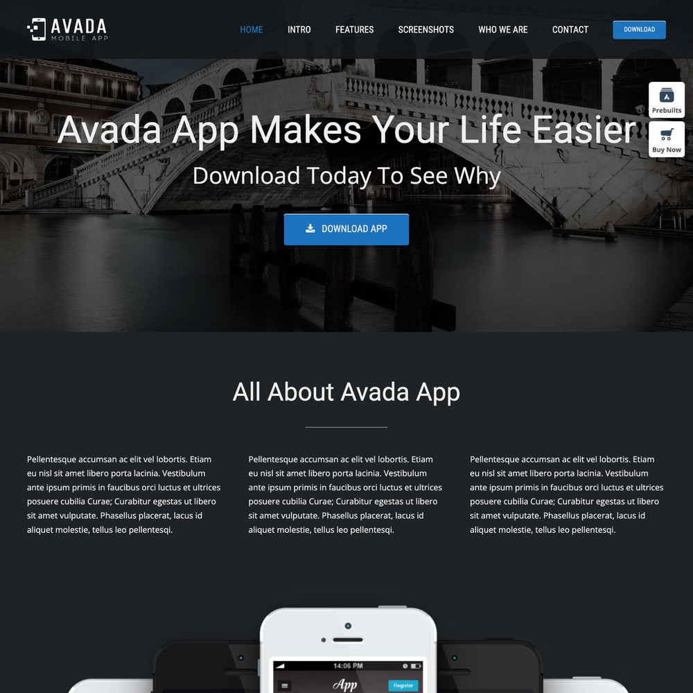 App Website Design with Free VPS Web Hosting and Installation