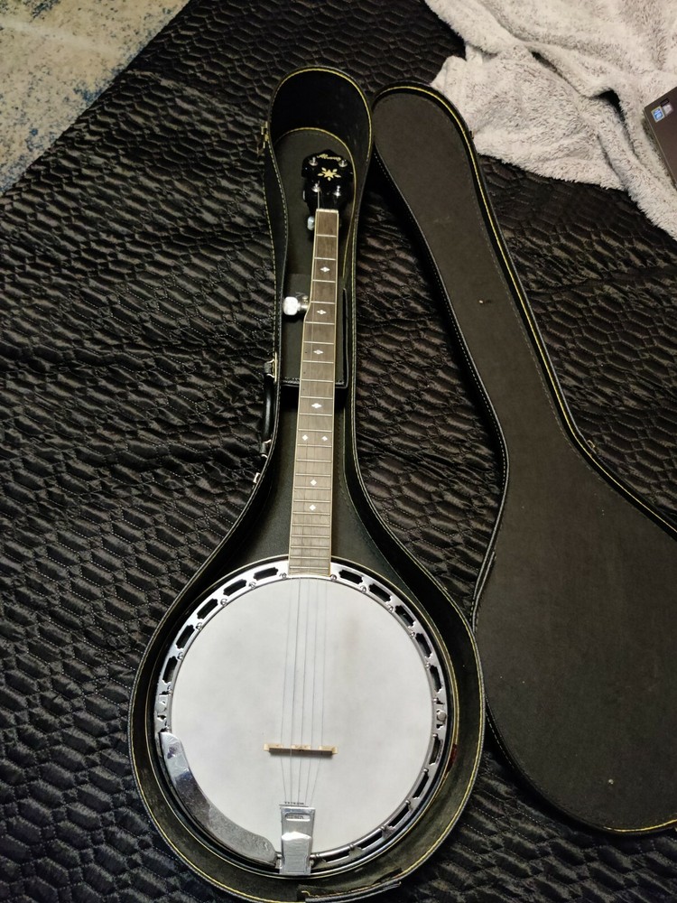 Vintage Alvarez 5 string banjo