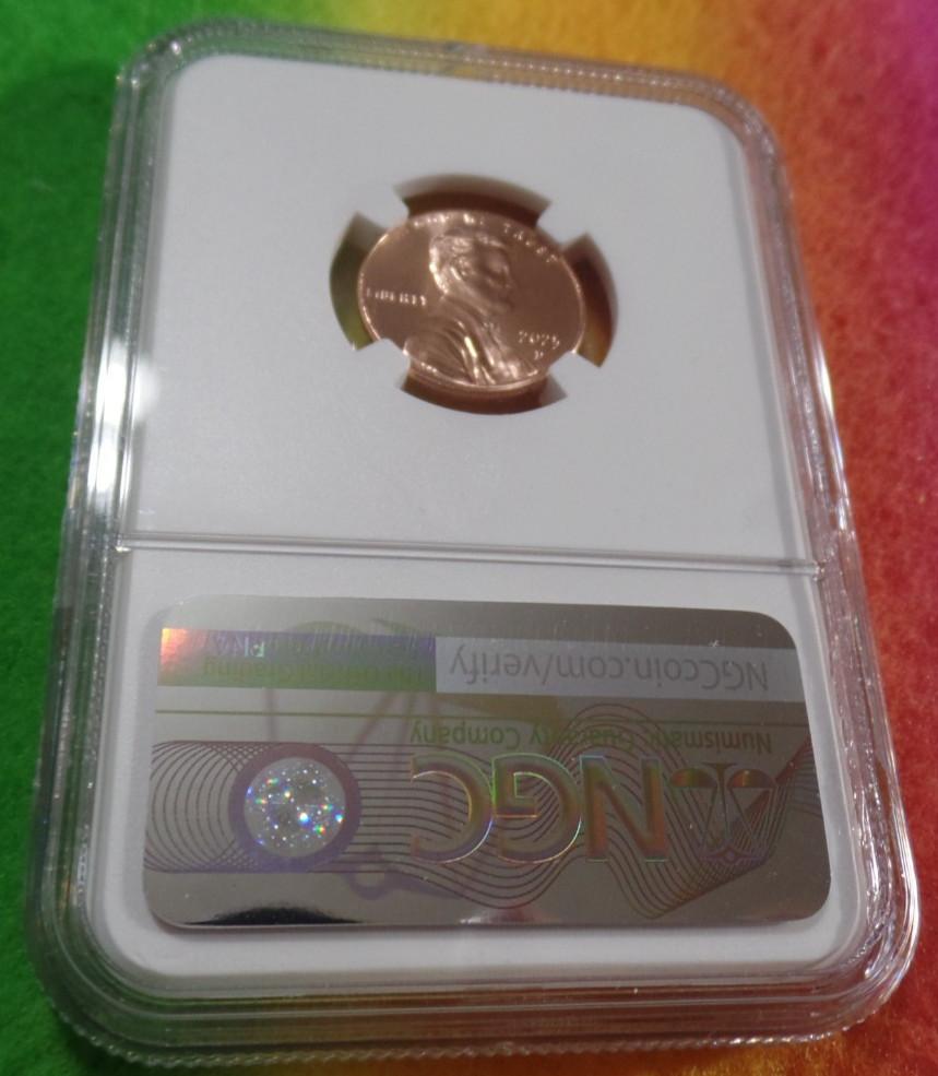 2025-D Lincoln Cent Shield NGC MS 66 RD !!!NICE!!!