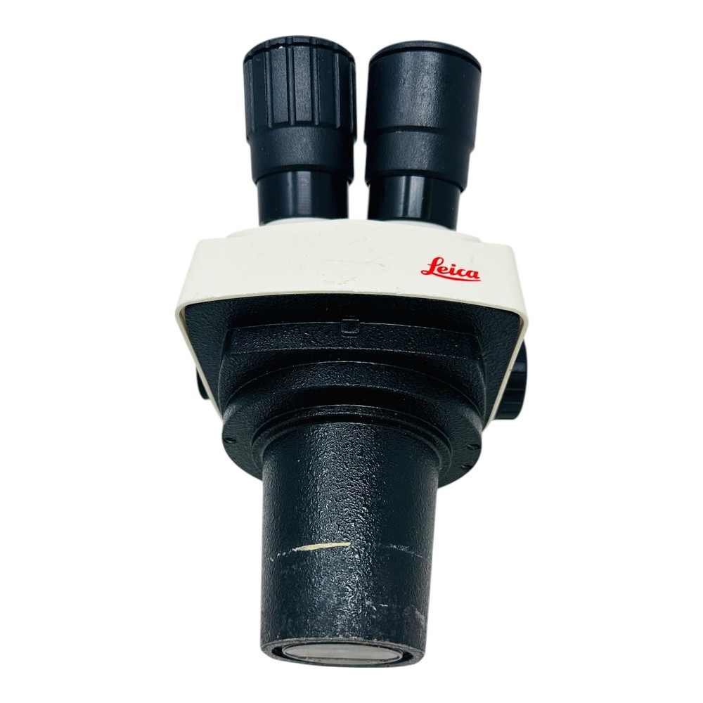 LEICA STEREOZOOM 6 PLUS MICROSCOPE HEAD