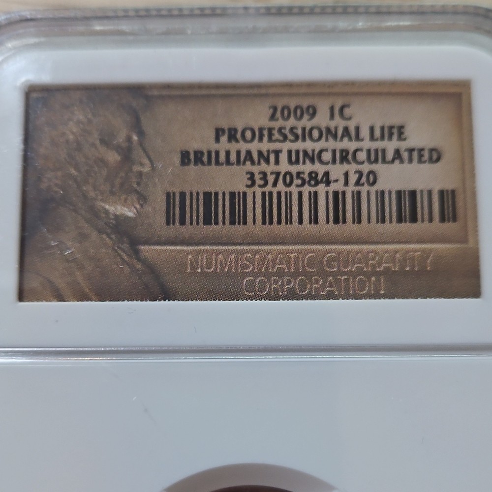 2009 Lincoln Small Cent Professional Life NGC Uncirculated