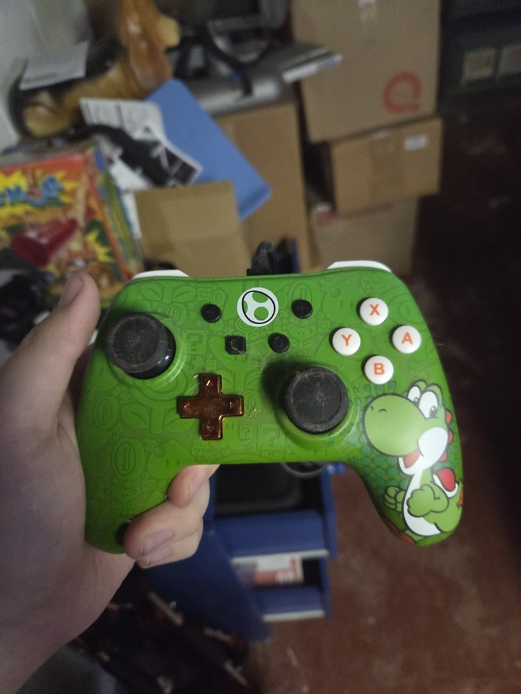 Screen Protector For Nintendo Switch And Carrying Case & Yoshi Controller