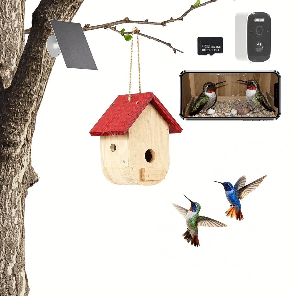 Hummingbird House with Solar Powered