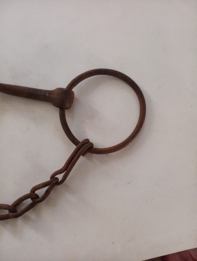 Iron Horse Harness