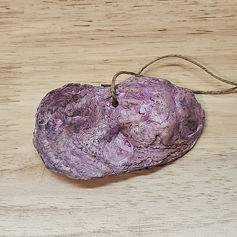 Hand-Painted Oyster Shell