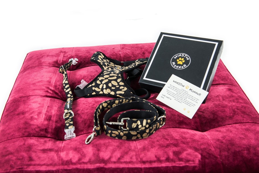 Winston Manner Designer Dog Harness in Disco Dog
