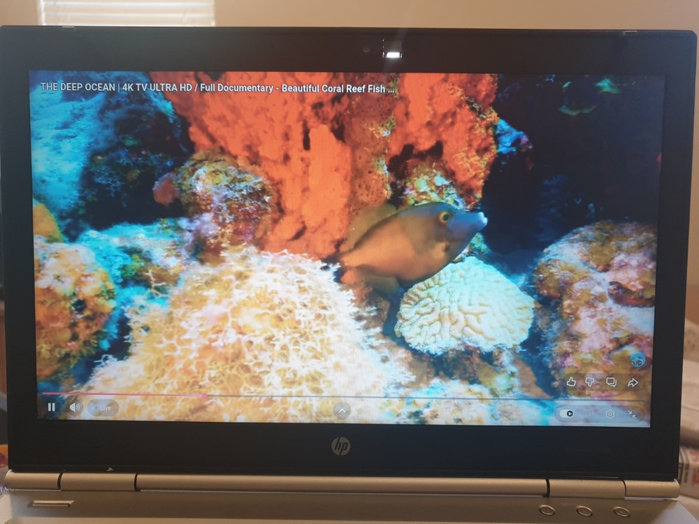 Linux MX V25.1, Xfce, 64-bit, Bootable Live and Install USB Flash Drive