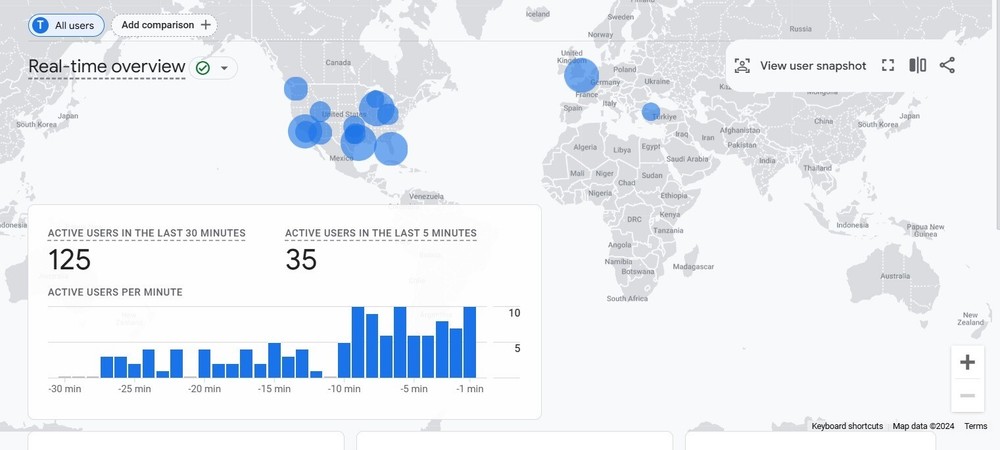 5000+ views - organic targeted website traffic