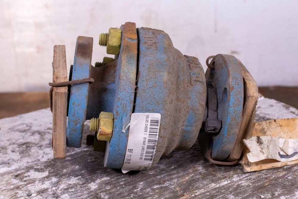 Dow Kynar Steel Check Valve 355