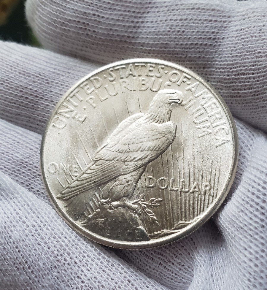 1925 P Peace Dollar BU