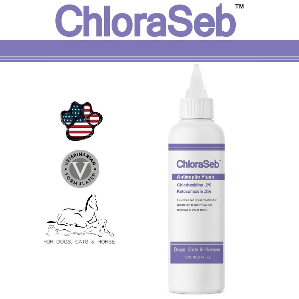 ChloraSeb Antiseptic Flush (12 fl oz)