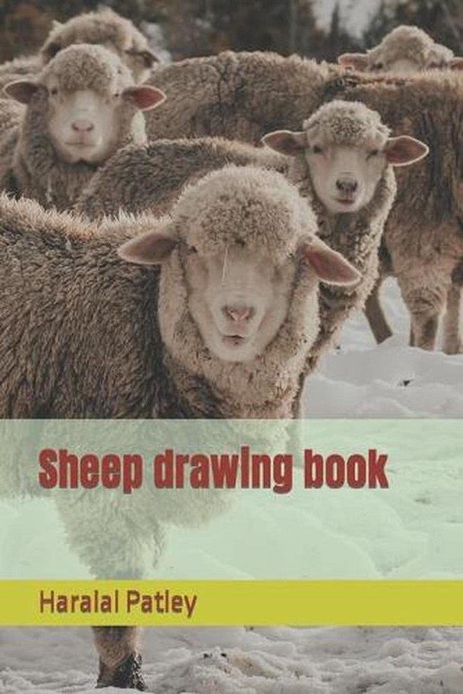 Sheep drawing book