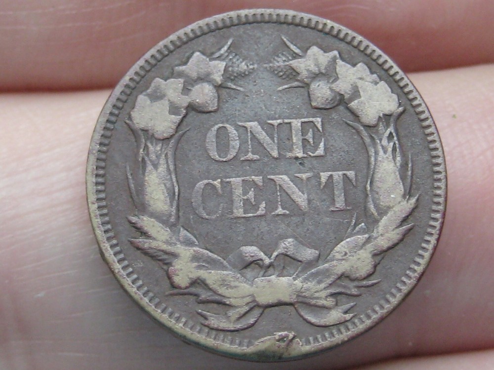 1857 Flying Eagle Penny Cent- VF/XF Details
