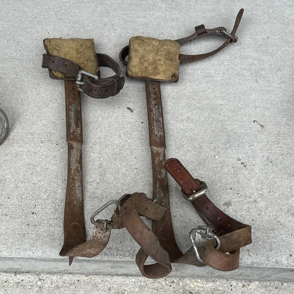Vintage Klein Tree Climbing Spurs