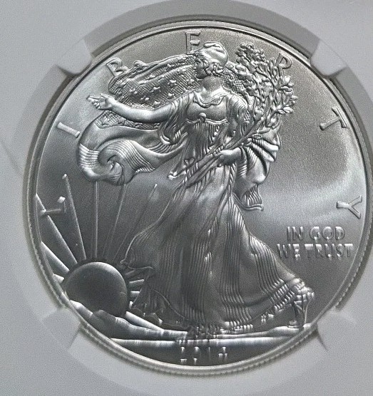 2014 American Silver Eagle MS-69 NGC