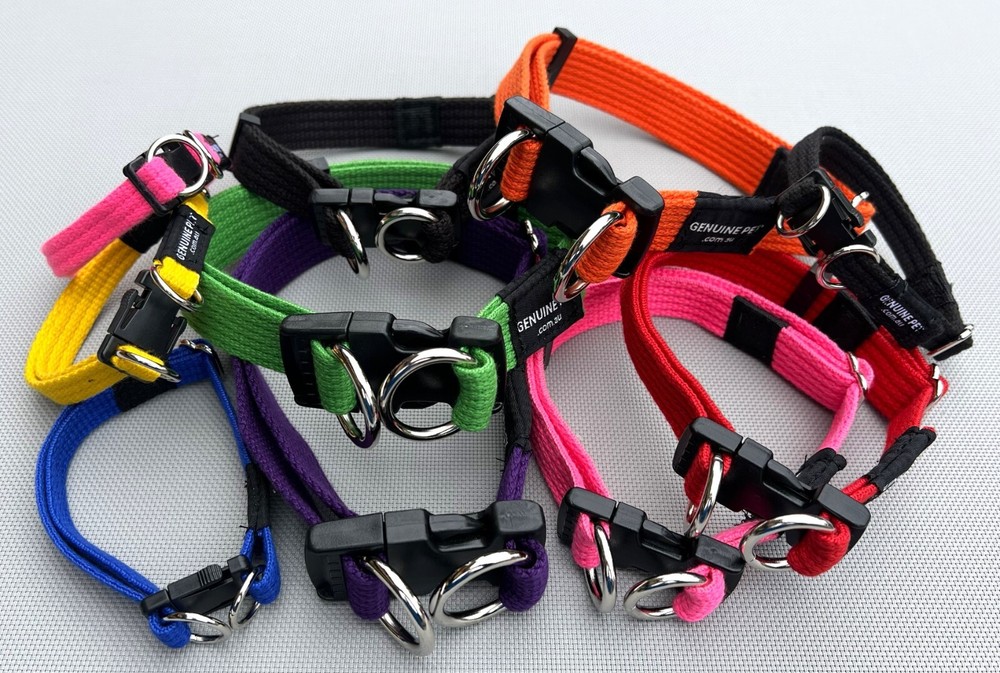 Quality Dog Collar Soft Webbing Double Up Secure Collars Lead Leash