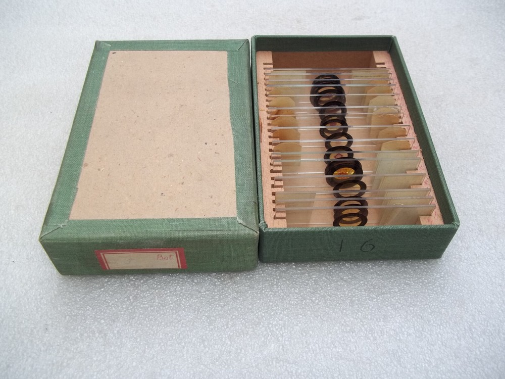 Vintage Glass Microscope Slides -