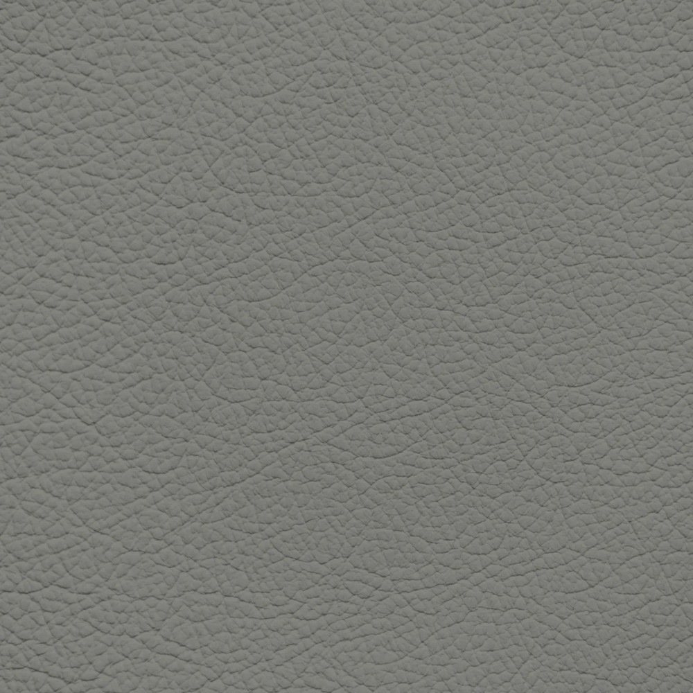 Ford/Lincoln/Mercury Light Cactus Leather Dye