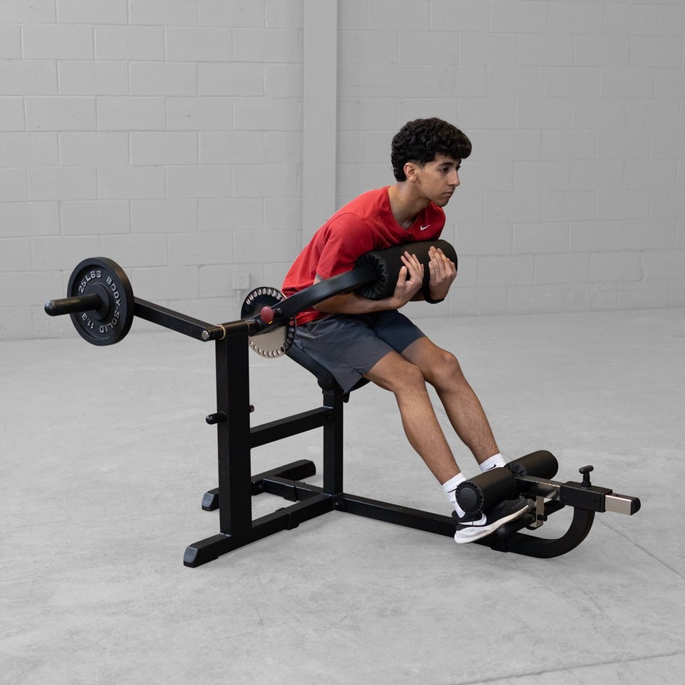 Body-Solid Dual Ab and Back Machine