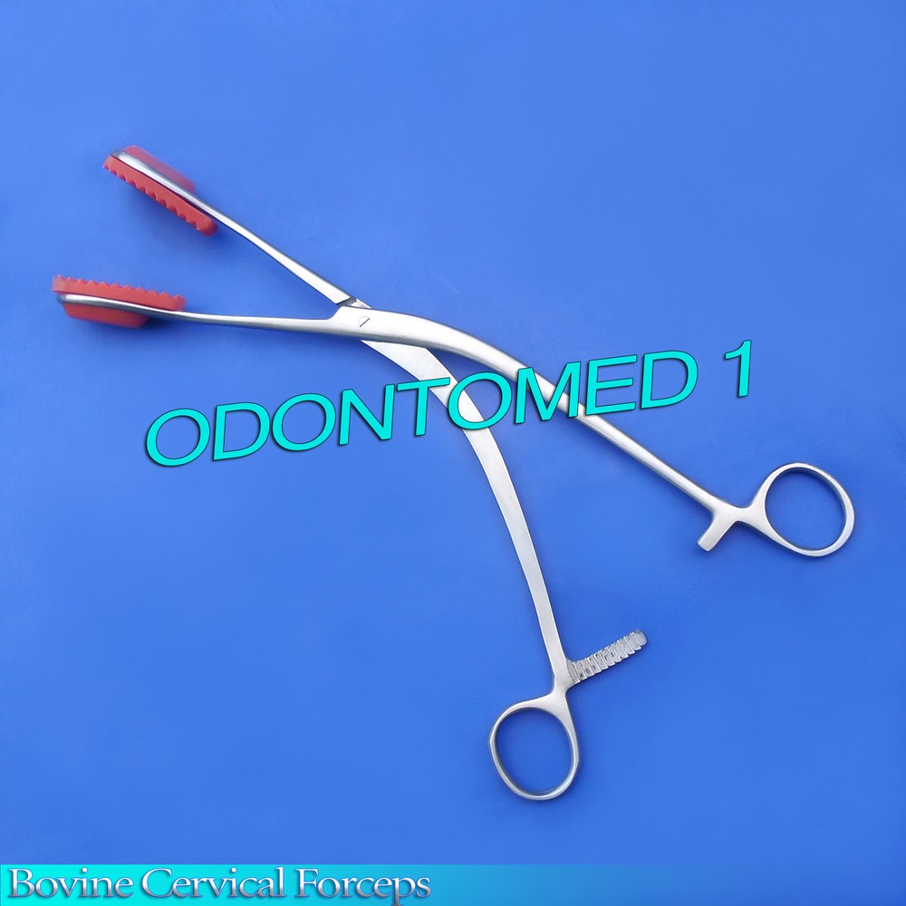 Bovine Cervical Forceps 12" Veterinary Instruments NEW