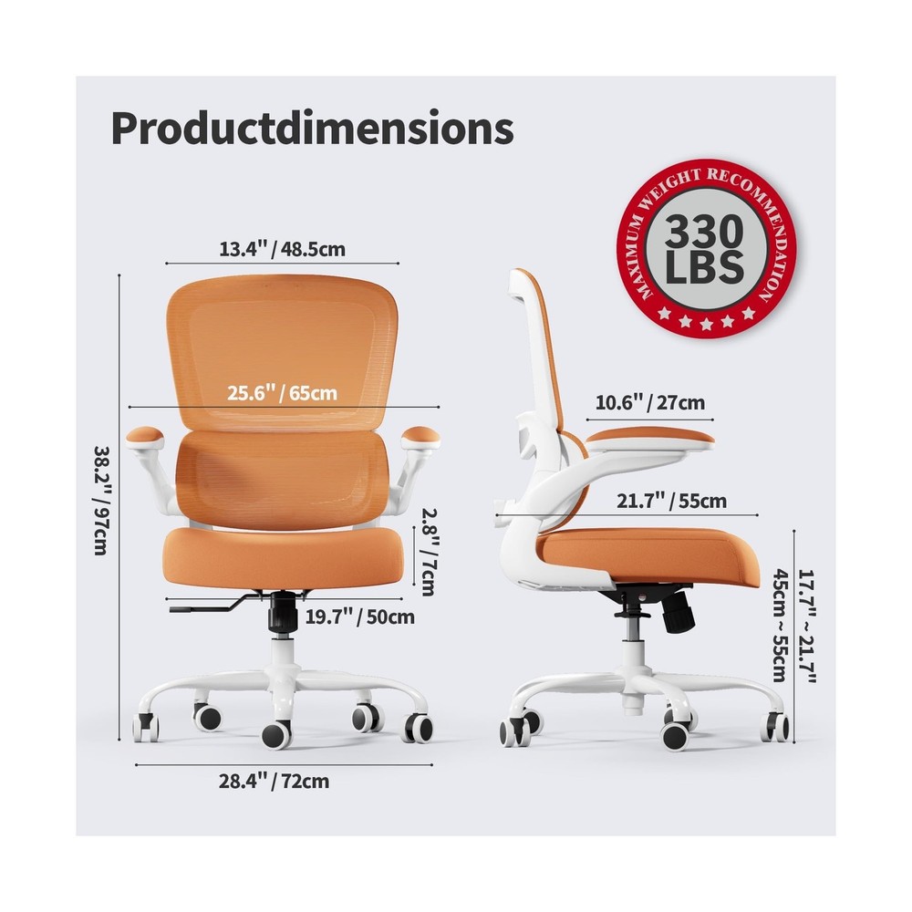 Ergonomic Office Desk Chair w/ Adjustable Lumbar Support + Adjustable Backrest