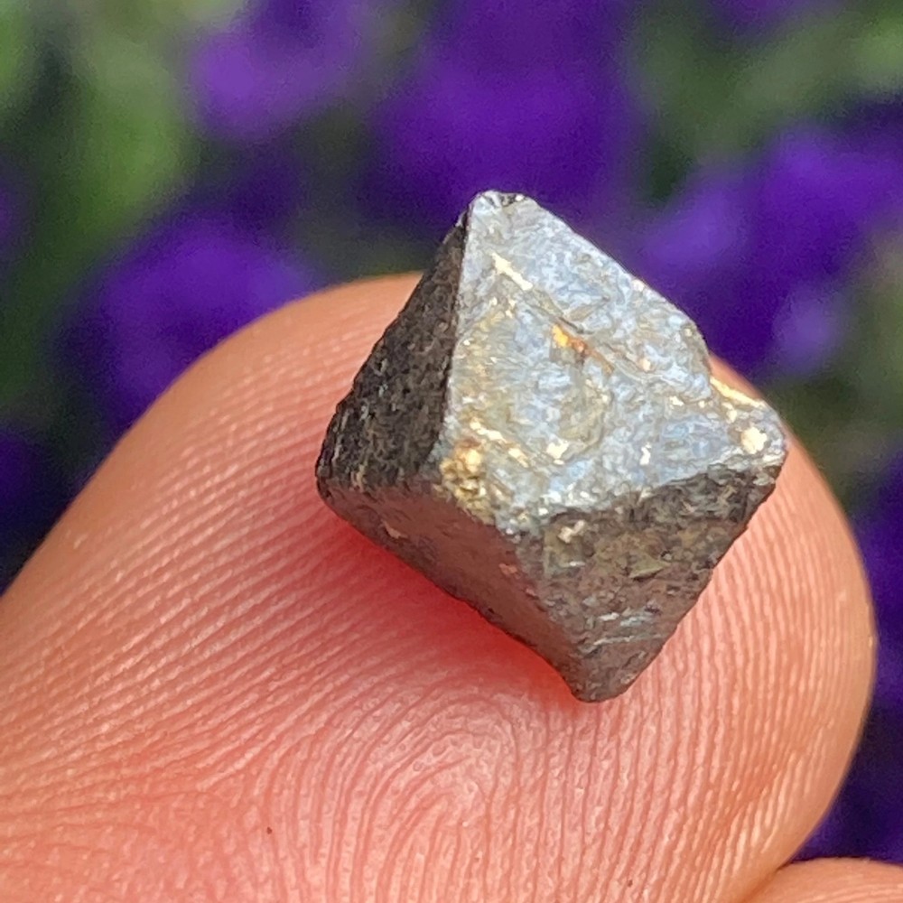 Magnetite Specimens (Set of 5)