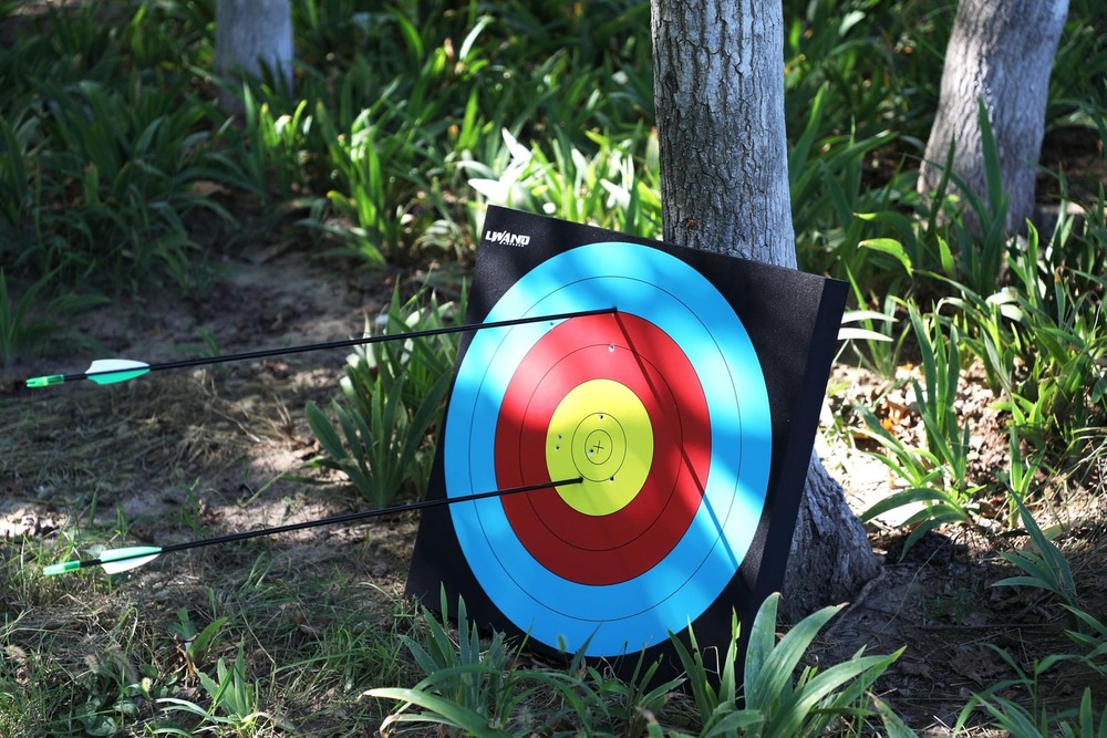 20'' Foam Target High-Density Archery Bow & Arrow Target for Backyard (20 * 2...