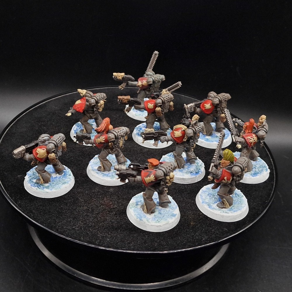 Well Painted Warhammer 40k Space wolves ×10 C6 games workshop