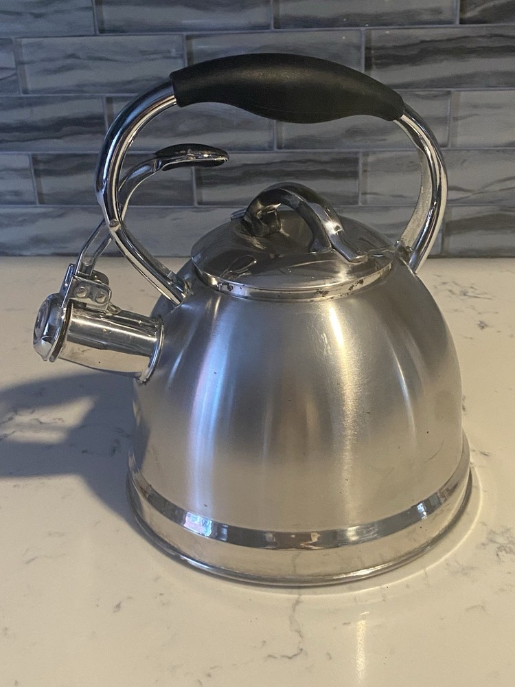 Well Equipped Kitchen Stainless Steel Tea Kettle  Black Handle