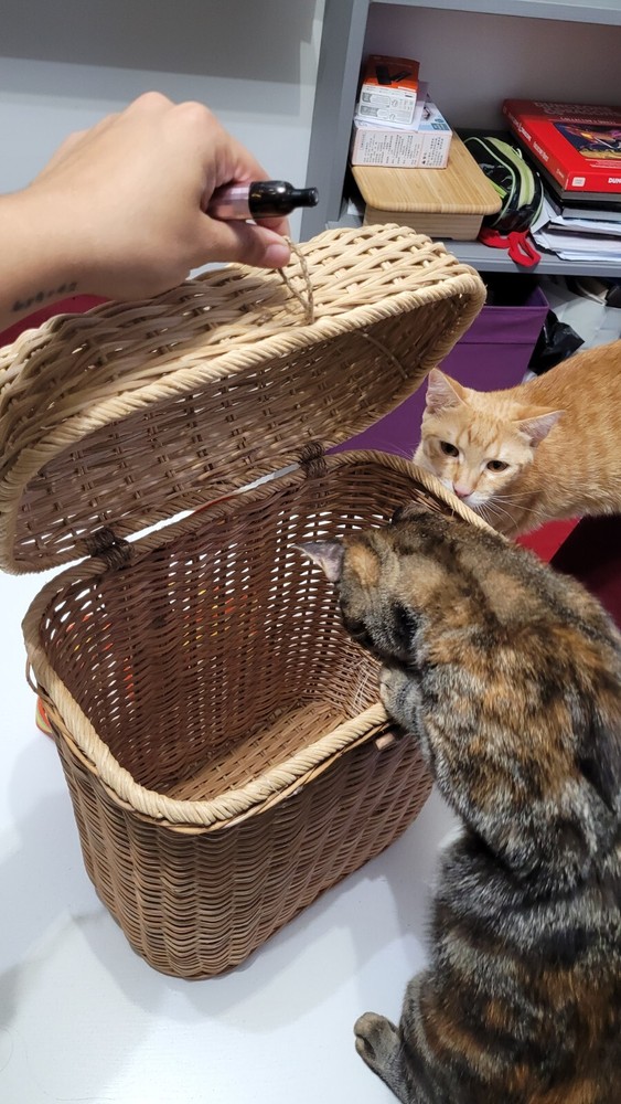 IKEA SOLBLEKT Wicker Backpack Limited Edition Rare 2020