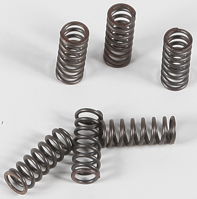 EBC CSK Series +15% Clutch Spring Kit CSK39