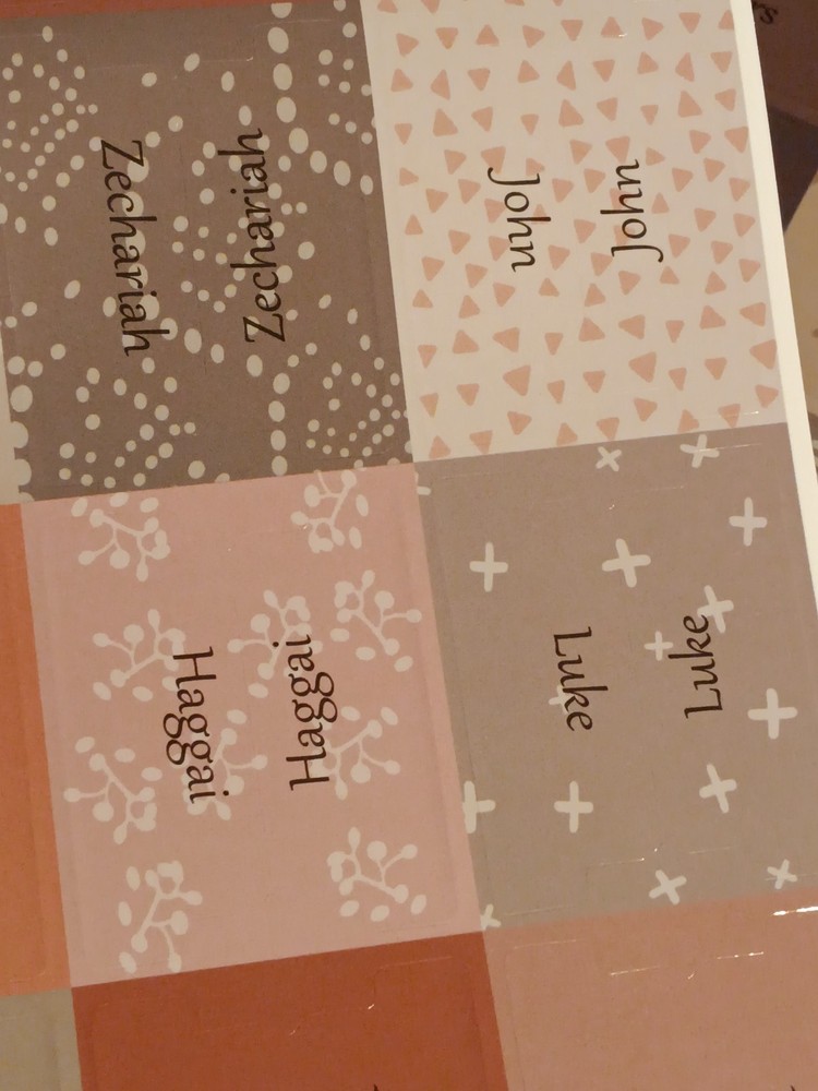 Thinkor Laminated Bible Tabs, Extra Large, Pink, Gray, Salmon, Tan, Rose, 2 Pack