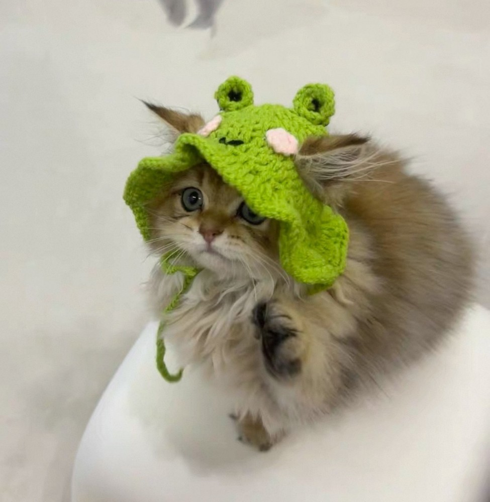 Cute Knitted Frog hat for cats
