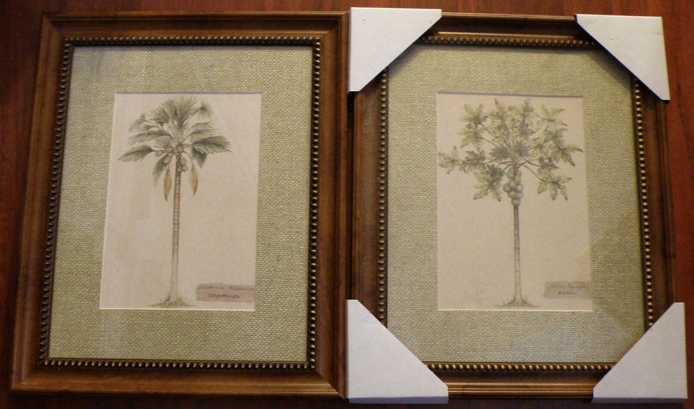 2 Tropical Palm Pictures In Frame