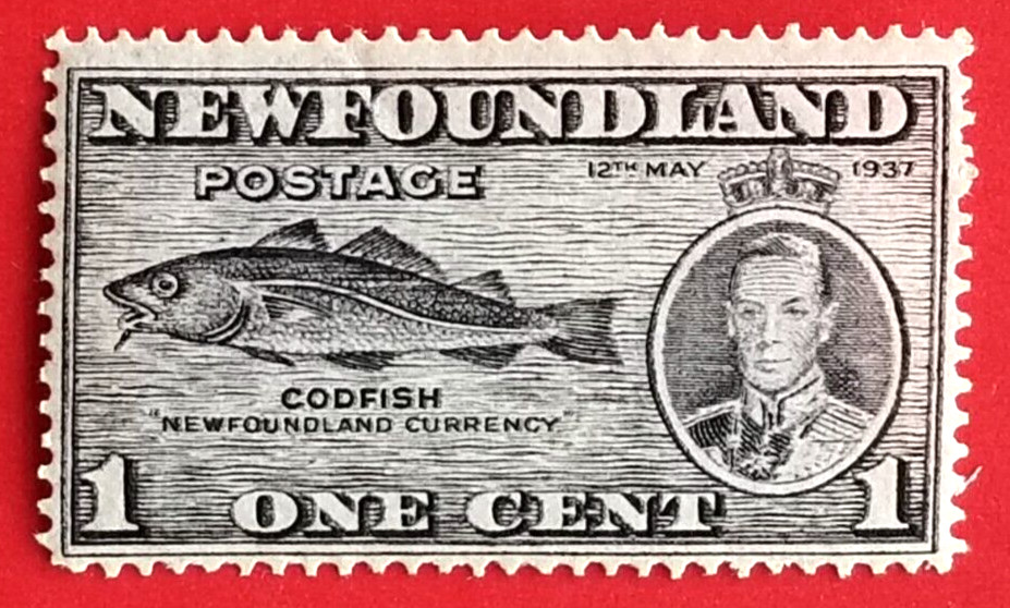 Canada Newfoundland #233 Long Coronation Issue - Codfish MNH