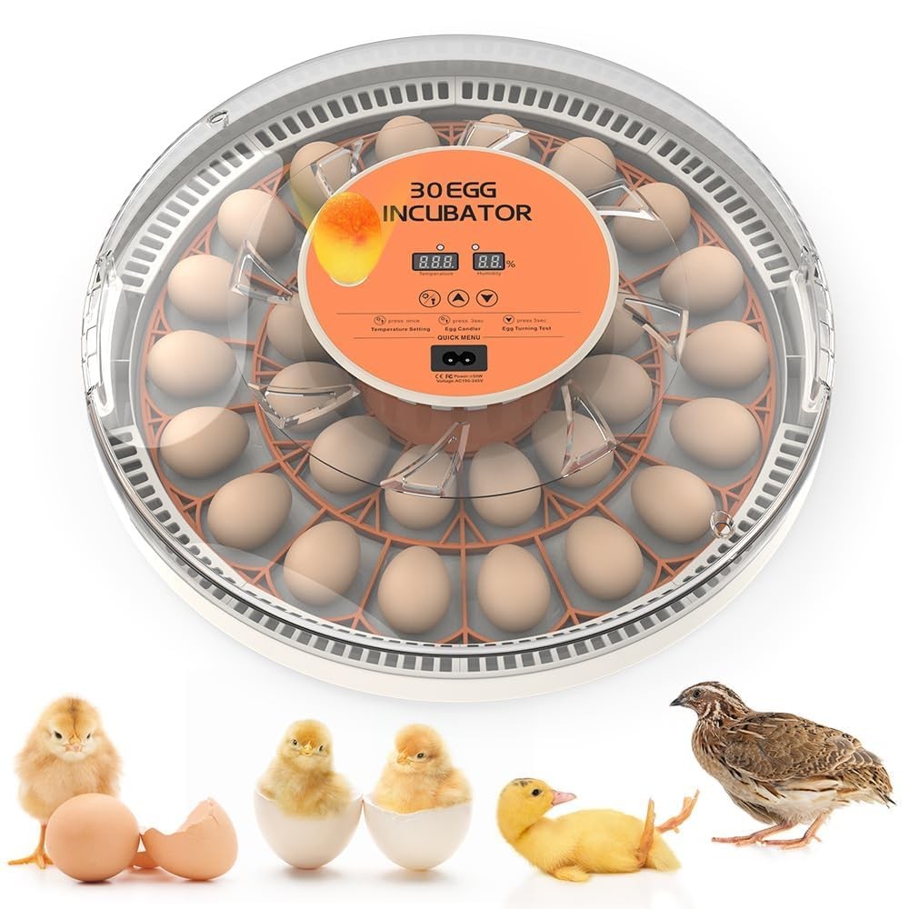 Smart Lite 30-Egg Incubator for Experienced Hands-On Hatchers, Auto Egg Turn,...