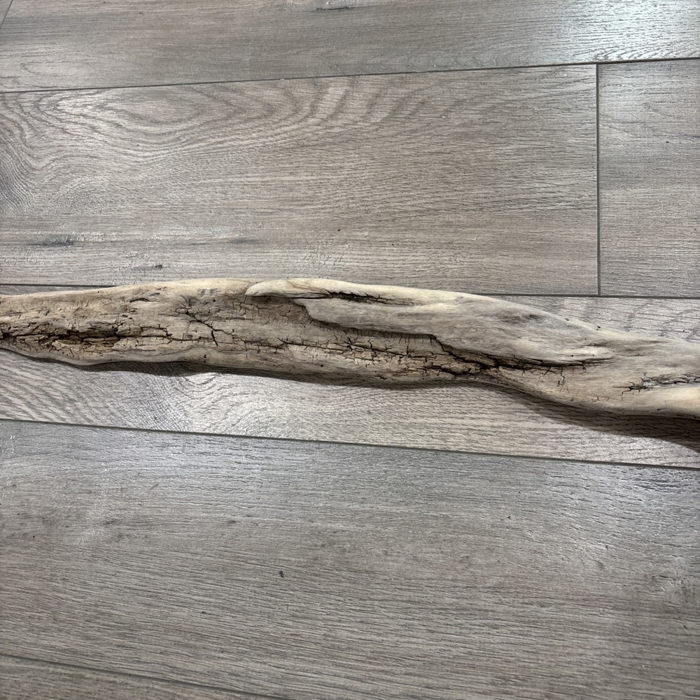 Petrified Wood Snake 30”