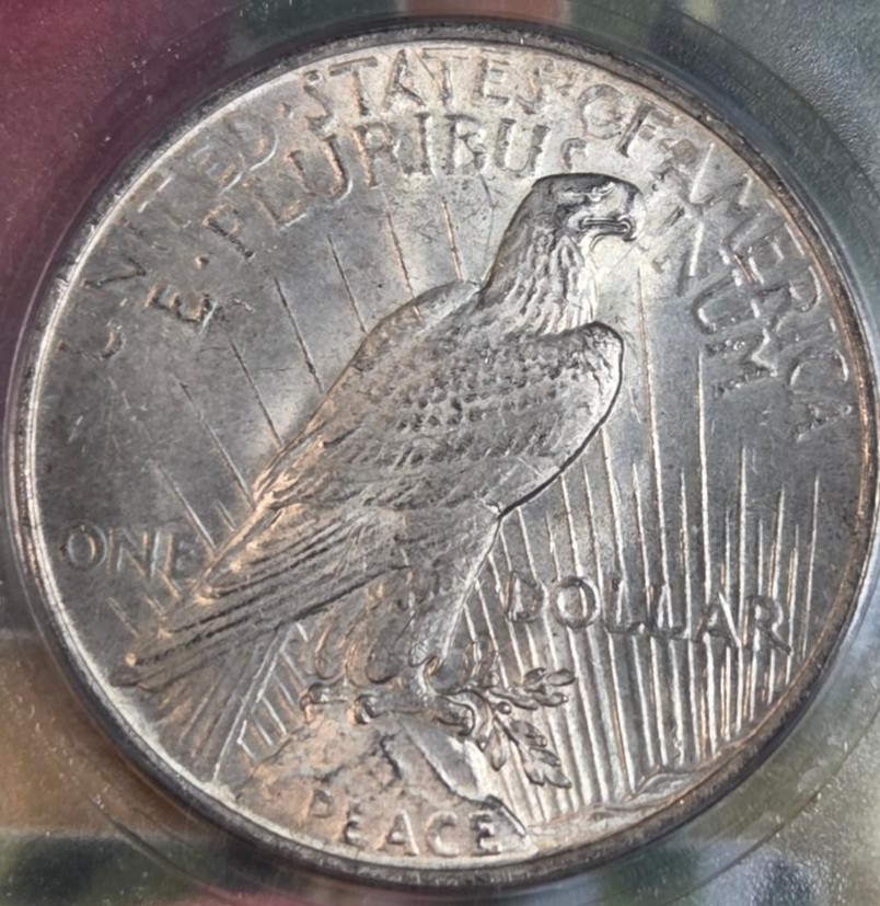 1923 U.S. Peace Dollar..MS65 .ICG Graded ...