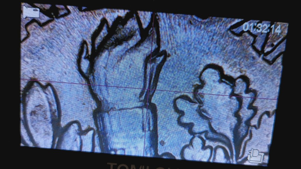 1997 P Roosevelt dime -DDO DDR errors