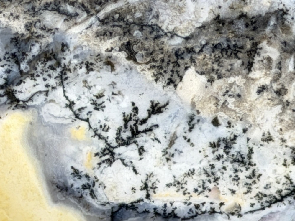 Dendritic Amethyst Sage Slab, Lot#185