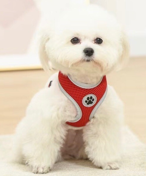 Dog Harness, No Pull Reflective Adjustable Breathable Mesh, Paw Design Red S M L