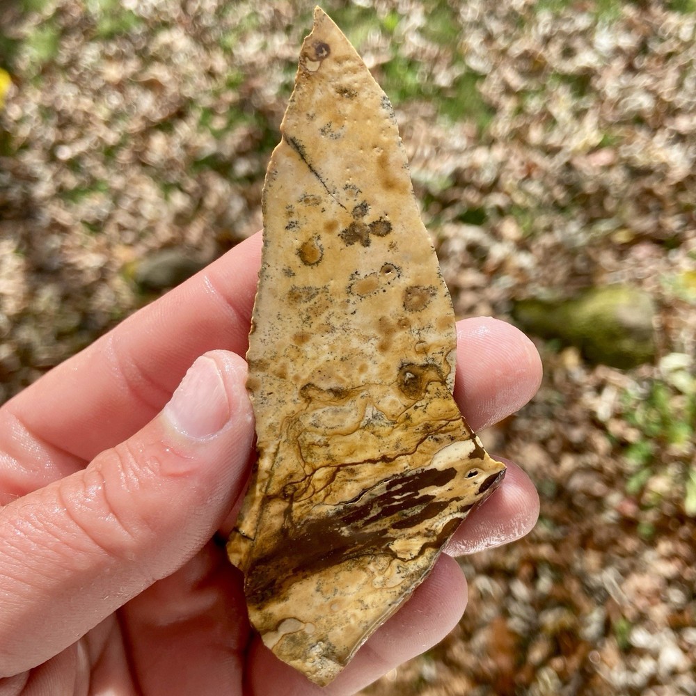 Unique Picture Jasper Rough Slab 1.07 Oz