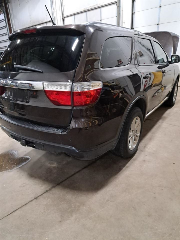 2012 Durango Jack Sku#4335339