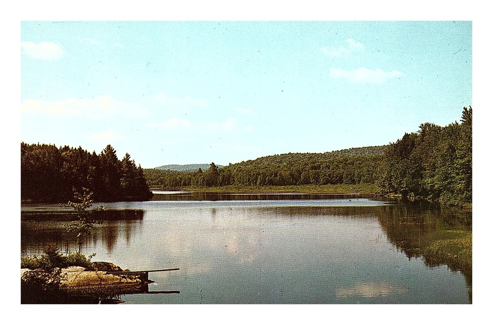 Postcard: serene lakeside scene