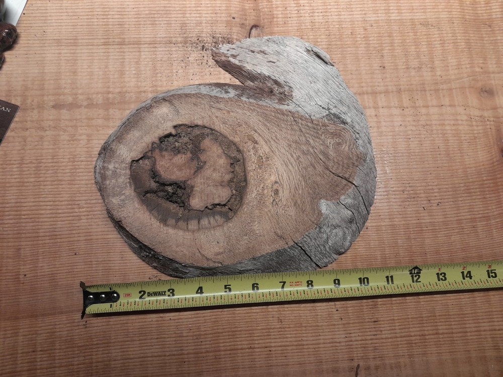 1 Inch Thick Oak Burl Slice