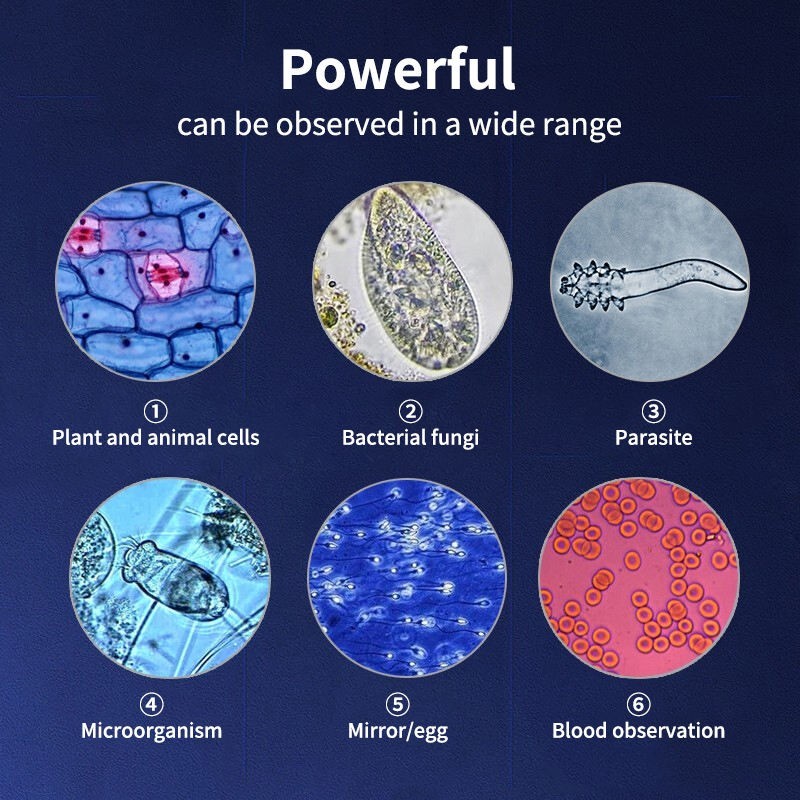 Educational professional laboratory compound optical trinocular microscope