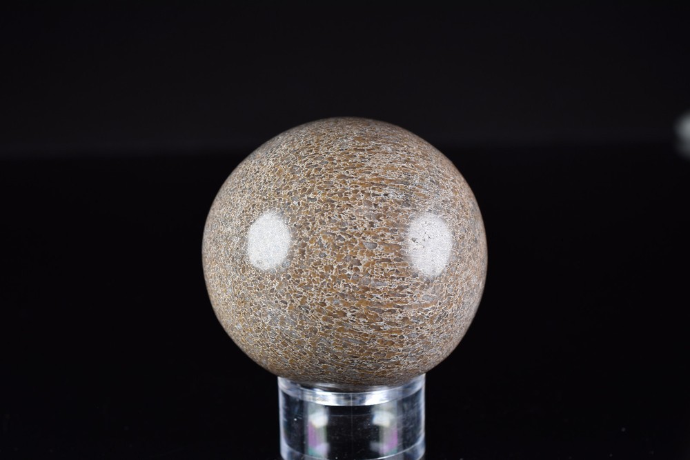 Dinosaur Bone Sphere from Morocco 7.6 cm # 20121