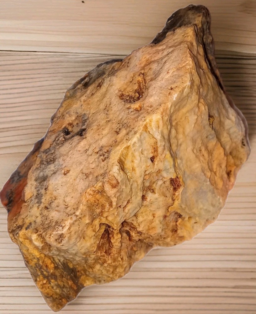 Petrified Wood Rough Specimen 7 oz