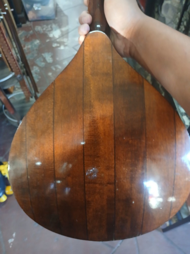 egmond mandolin made in holland